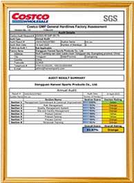 Costco Factory Assessment by SGS